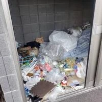 画像335
