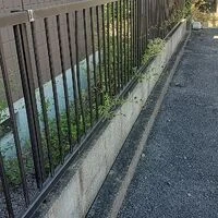画像434