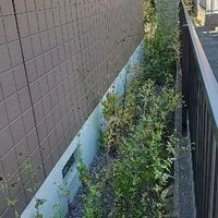 画像435