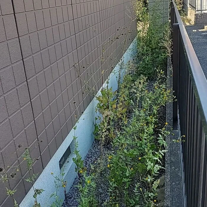 画像435