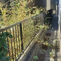 画像436
