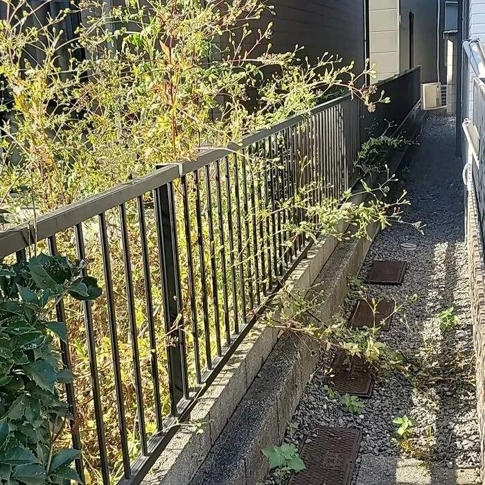 画像436