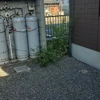 画像437