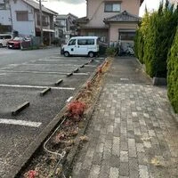 画像477