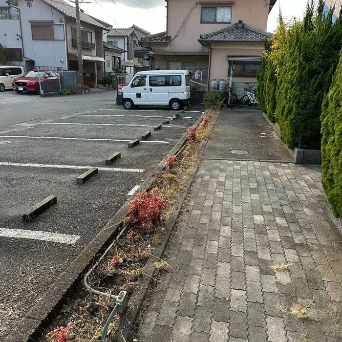画像477