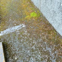 画像536