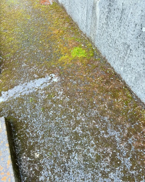 画像536