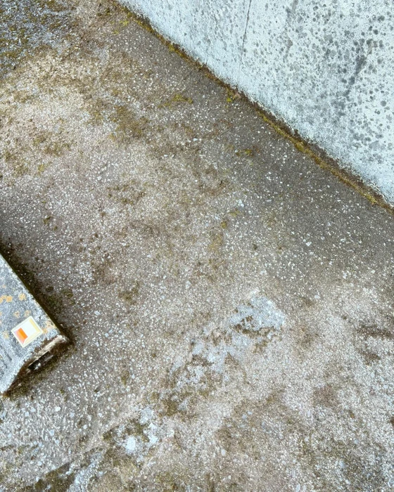 画像537