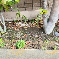 画像546
