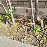 画像548