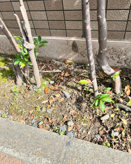画像548