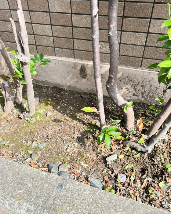 画像549