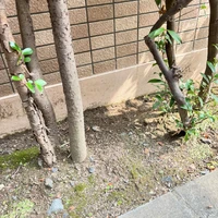 画像551