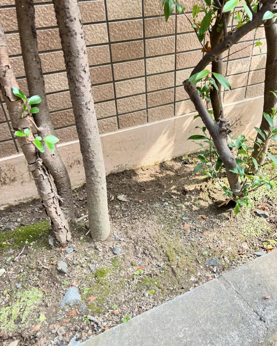 画像551