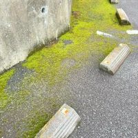 画像561
