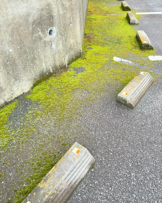 画像561