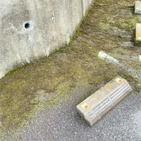 画像562