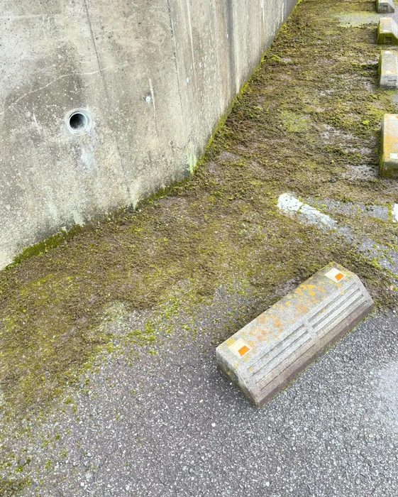 画像562
