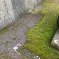 画像565