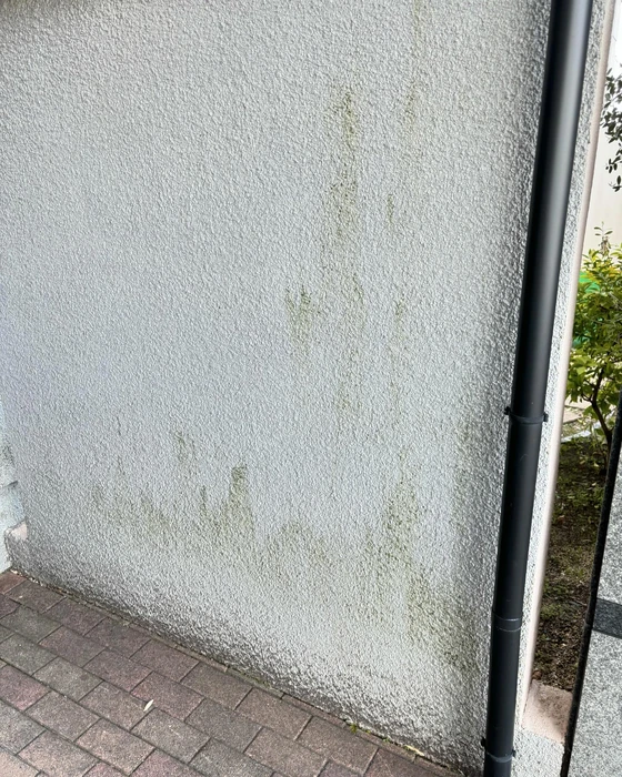 画像583