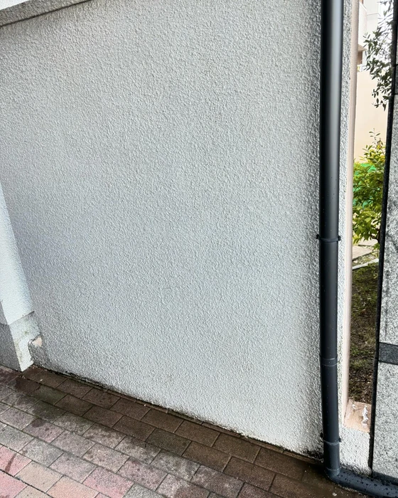 画像584