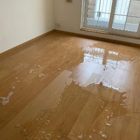 画像611